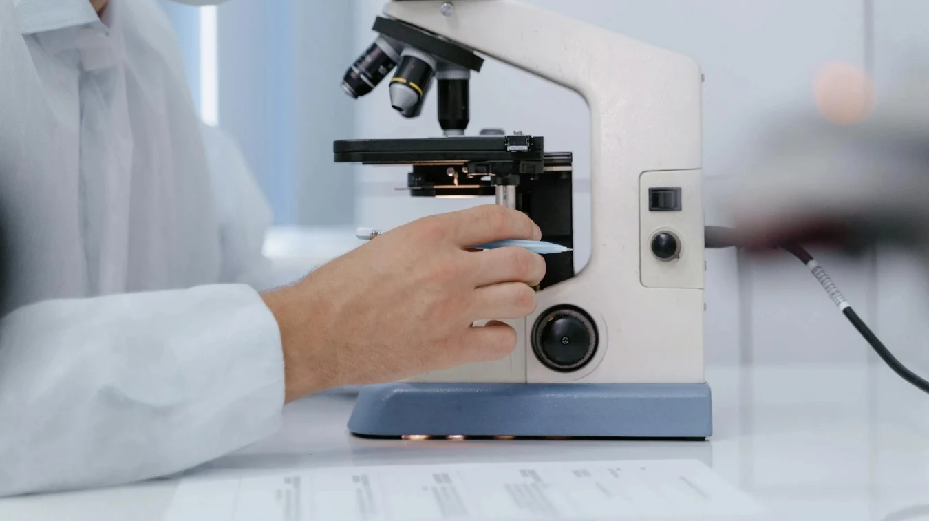 Huperzine A and Its Benefits