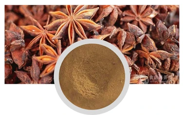 Bacopa Monnieri Extract Powder Bacopasides Brain Health Supplement Manufacturer Whosale